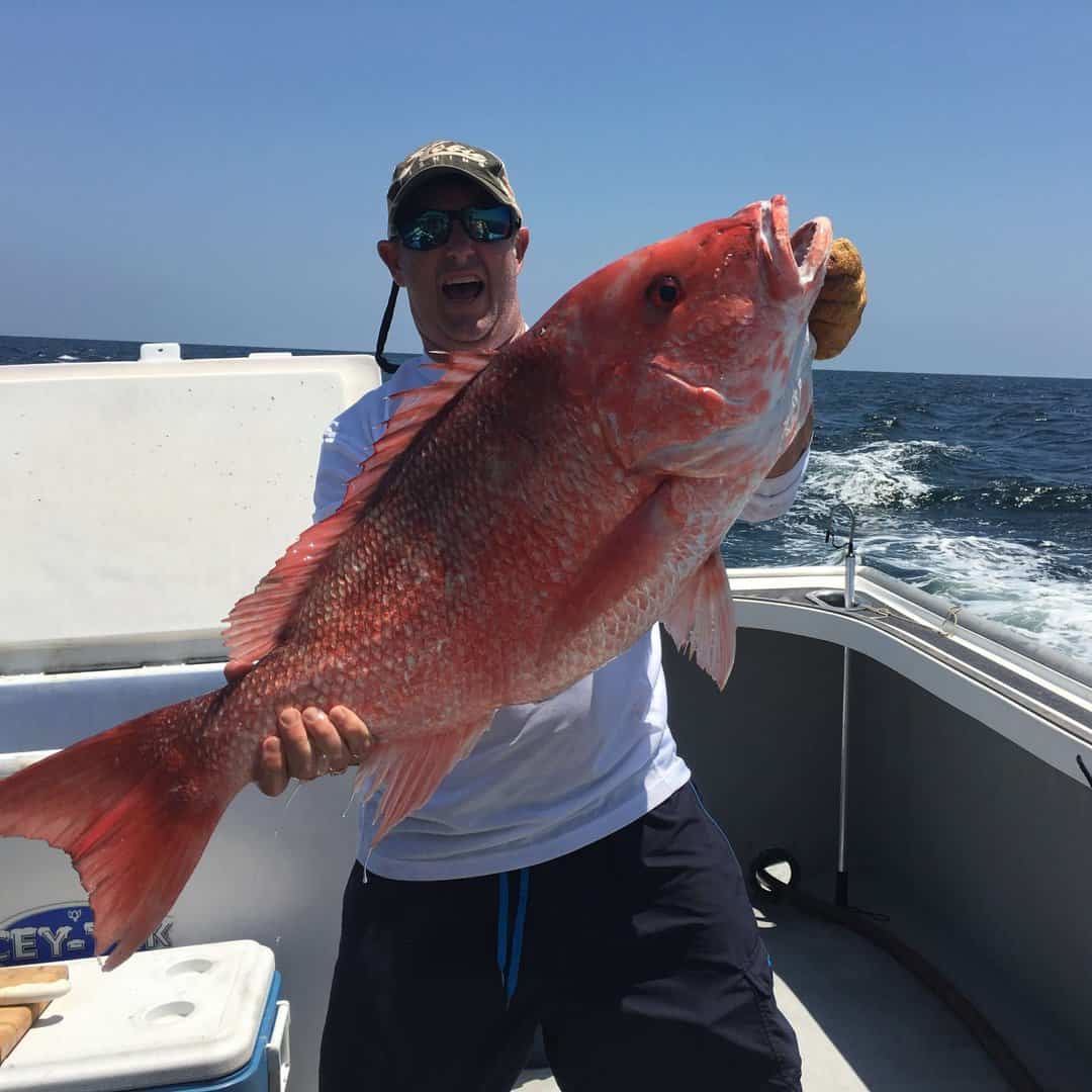 Fred with giant snapper community